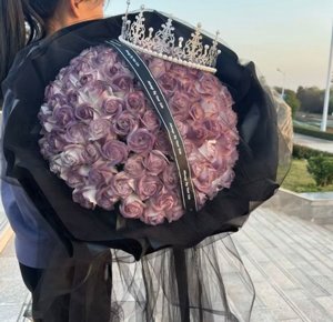 �� ����� - ���� �����